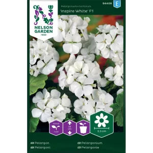 Pelargonium 'Inspire White' F1