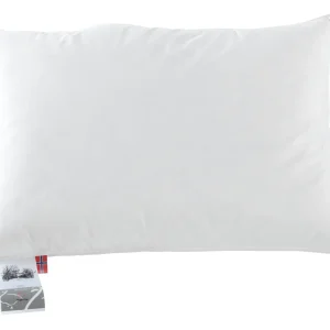 Geilo puter